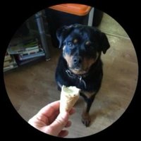 Becky2.0.i_am_back (@0becky2i_m_back) 's Twitter Profile