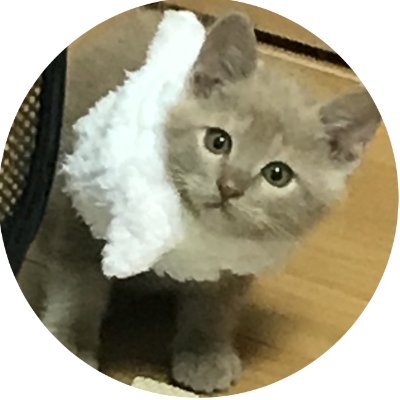 t44_ow's profile picture. 鍵ついてる時も知ってる人は全員通します。行くあてのないオタクツイート🐟監視すな🦐