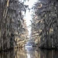Kimberly Studios of East Texas (@knotsmarshall) 's Twitter Profile Photo