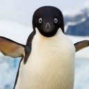 Kat Roberts - @Lostsoulsrot - Twitter