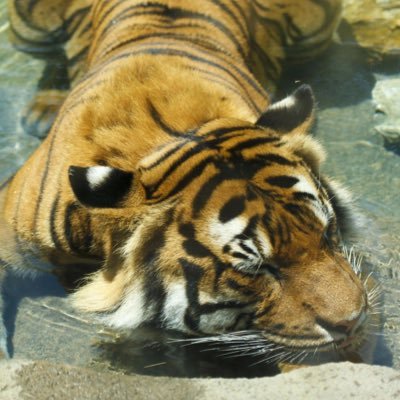 freedomforultra's profile picture. “Az sonra seyredecekleriniz, tek bir ihtimali olan insanların hikayesidir."