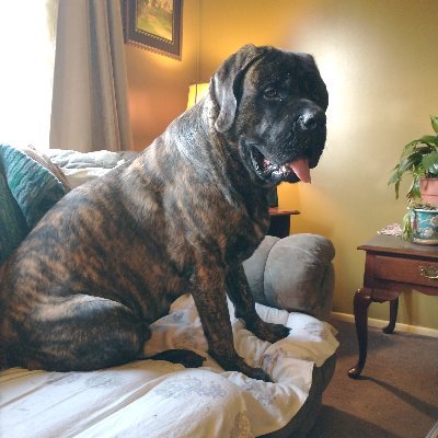 Cindy7939821701's profile picture. Married to my soulmate. Mother of 2 grown men. Animal lover and Christian. Republican Party and supporter of the greatest President in my lifetime. NO DM'S