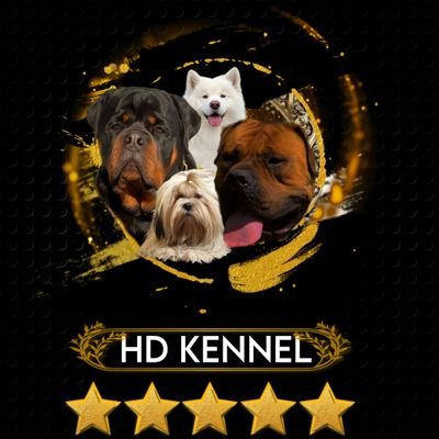 My name is IHEANYICHUKWU and I AM AWAKENED📿 my CHI guides me now📿📿
Dog Breeder 🐾| Taurus♉︎
|Fela Anikulapo fan🕊️|
Artist🎨|
