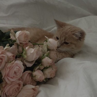 M47Um's profile picture. الُمتاح للجميع غير مُلفت .