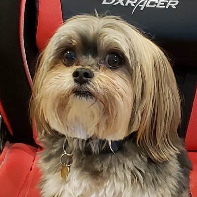 27 | My dog, Cooper, was the G.O.A.T, RIP Buddy. šŗšø