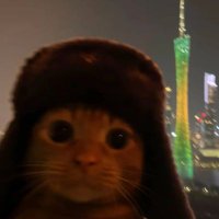 Lucyan (@koooglin) 's Twitter Profile Photo Lucyan (@koooglin) 's Twitter Profile Photo