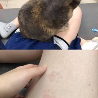 wffjynoq (@pgslt41373648) 's Twitter Profile