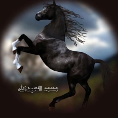 اعرض الحاله والحل