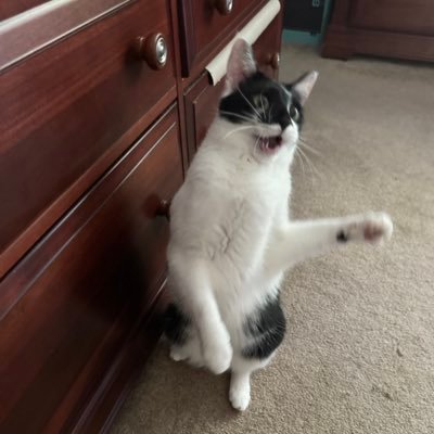 MChellTAllen's profile picture. 