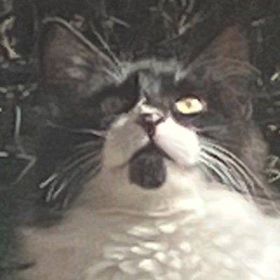 KatrinaTrotsky's profile picture. Every heart needs a reformation.