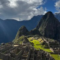 أبرار محمد 🧬🌱 (@abrar_1998m) 's Twitter Profile Photo