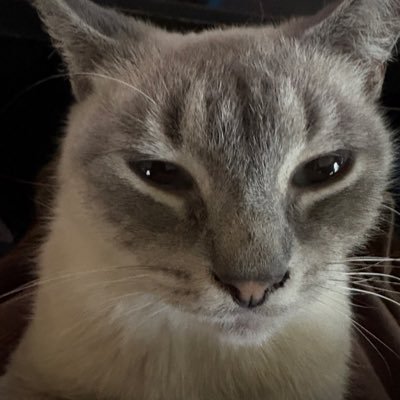 ElephactR6's profile picture. 16

Flex for Team Tide