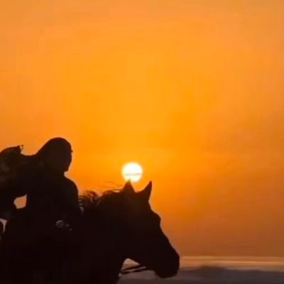 BundaIbrahim's profile picture. 