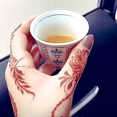 من ضامته دنياه يزبن على حرب، يكسب على ضيم القبائل مناعة👌