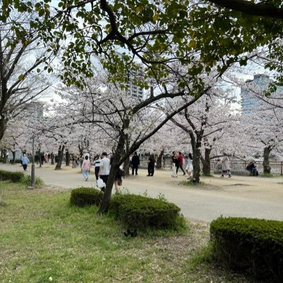 ZP6wA6SHE626827's profile picture. 