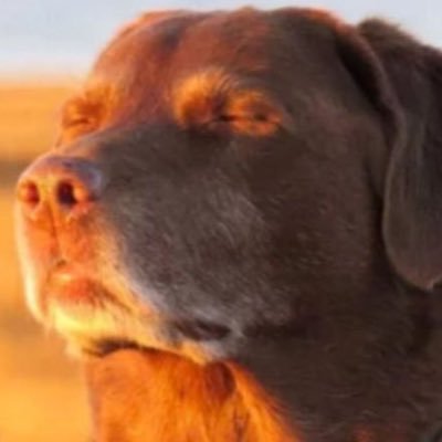 average white guy who likes light beer, movies, sports and is intimidated by women his age