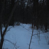 Cloudy_Tea (@bertipatty26857) 's Twitter Profile