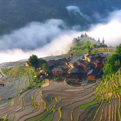 Discovering Life, Discovering Beauty, Promising Future。