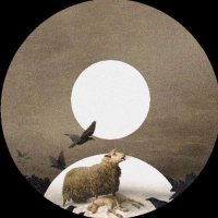 Drew || (-19/35) (@pixel_p0rcelain) 's Twitter Profile Photo Drew || (-19/35) (@pixel_p0rcelain) 's Twitter Profile Photo