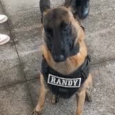 PugZeeX's profile picture. want to be a metal vocalist, vocal covers coming soon