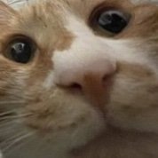 웅띠띠아띧띠 Profile