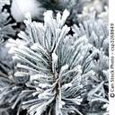 Doris Elmore - @DorisElmore - Twitter