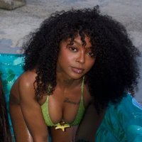 Ms.Vixen (@pytlulurenee) 's Twitter Profile