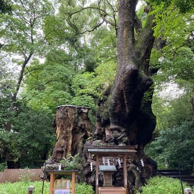 kazu215425's profile picture. 四十路会社員の備忘録。 SNSは広く浅く。