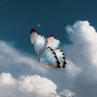 IlmiMldr's profile picture. Hello Pengemar🍃