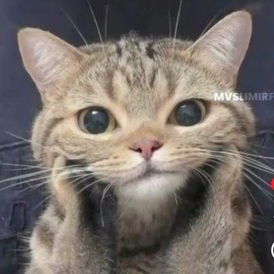 Ved_sharma67's profile picture. Engineer in the day, trader by dawn | Tech-driven market strategies | Crypto, stocks, and systems that scale.