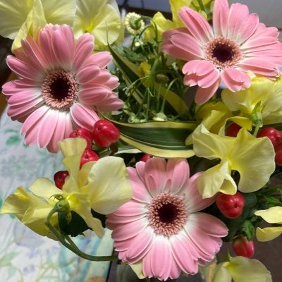 H52002Fc's profile picture. お花を育てるのが好きです🌸