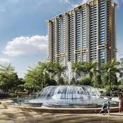 SeemaSharma999's profile picture. 