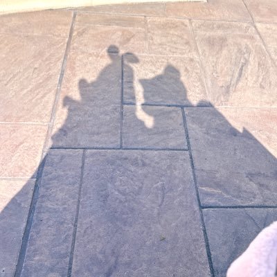 q_sznc's profile picture. ほぼD垢いろんなこと呟きます♡Disney🐭🎀月1インパ｜猫🐈ᩚ｜ちいかわ🐰｜美容💅｜ファッション👗👜｜甘いもの🍰