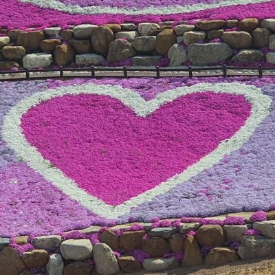 jhyeona1's profile picture. '일상의 작은 순간들을 기록하는 감성 트윗러'