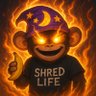 Shred_'s profile picture. Aussie 🇦🇺 | SHITposter | JPEG Survivor | Let Me $Cook