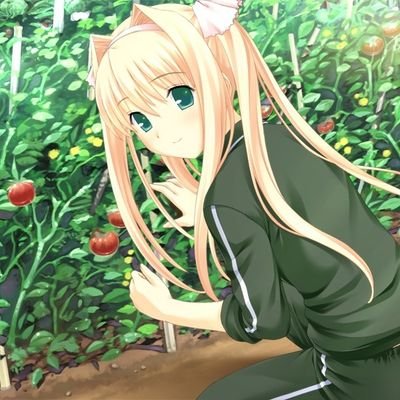 ないとぅ🦒🍅🕊さんのプロフィール画像