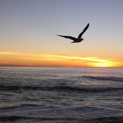 HartianRub49333's profile picture. 大专生，翻墙了解世界