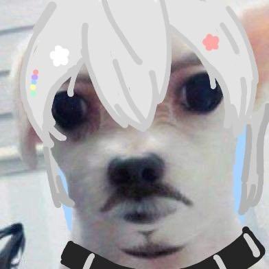 윤さんのプロフィール画像