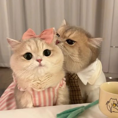 RealDender's profile picture. 