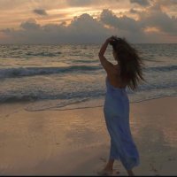 wonder land (@wonderl18848749) 's Twitter Profile