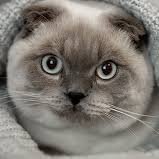 Santito710201's profile picture. Santito to you