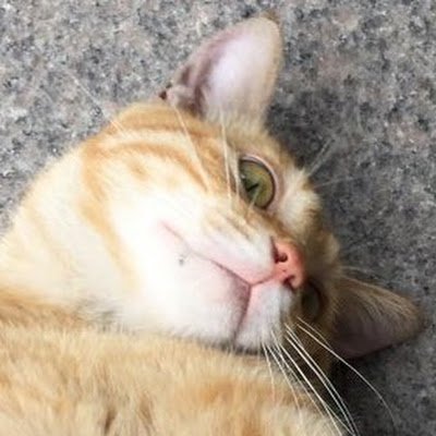 ejrwls012's profile picture. 