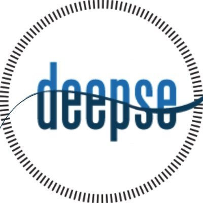 deepse @ Politecnico di Milano Profile