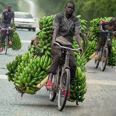 Farmer| @Agricentremw | Contact: https://t.co/1pkQ32lZt9|