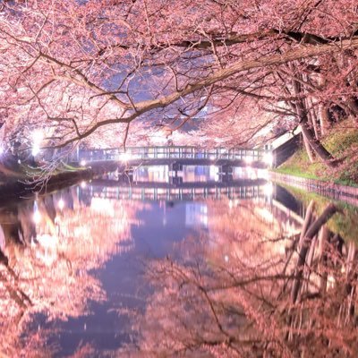 jboy1221sboy's profile picture. 初志貫徹