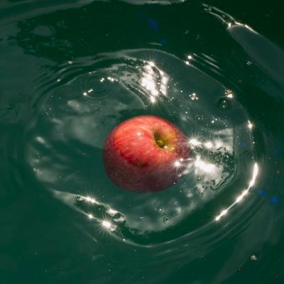 alteregoram's profile picture. Ski