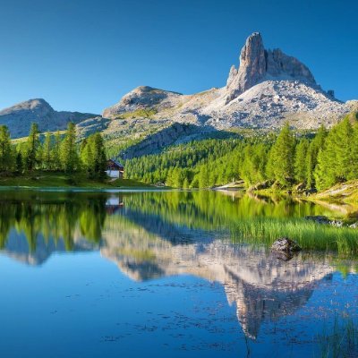 SJINNM's profile picture. 