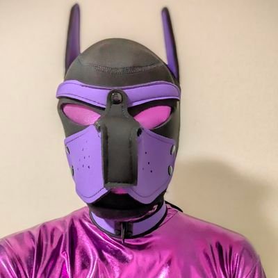 WARA(R-18関連用)さんのプロフィール画像