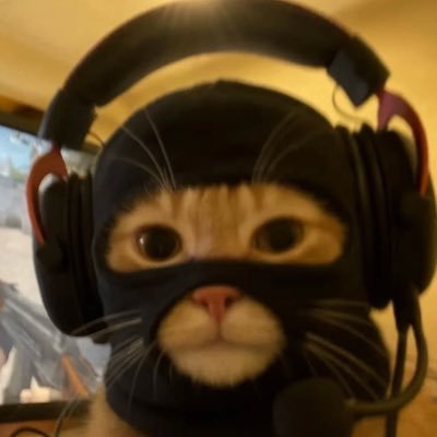 23. / Twitch Partner / Partnered with @ADVANCEDgg code