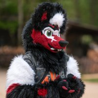 CaligoWolf (@caligowolf) 's Twitter Profile Photo